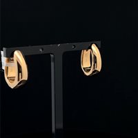 Boucles d'oreilles Ultima Edizione Femme Cerchi in Argent OAO7419 - OAO7419